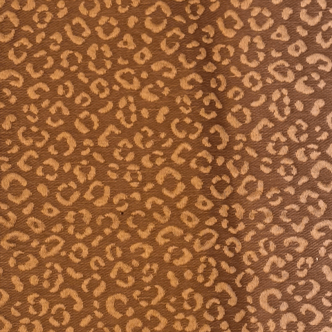 Lasac petite n°3