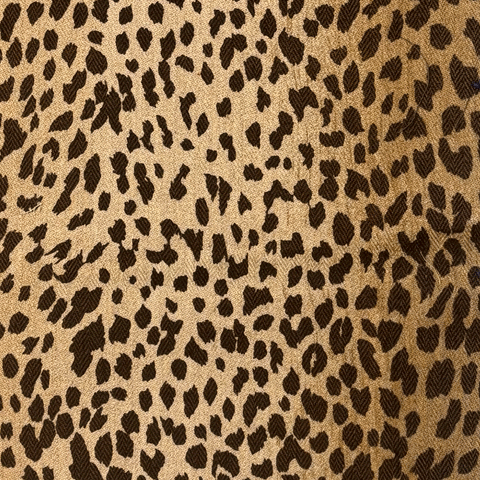 Lasac petite n°1