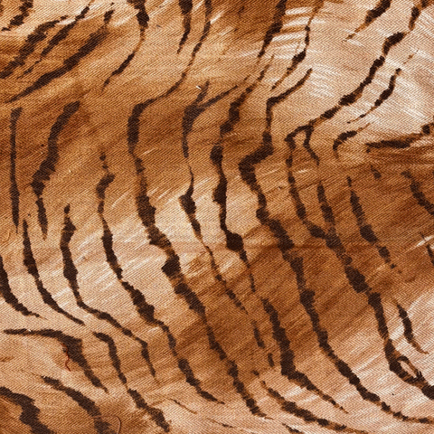 Lasac petite n°5