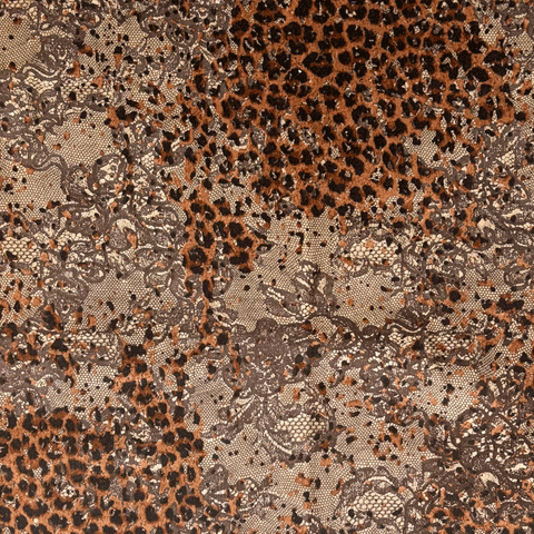 Lasac petite n°2